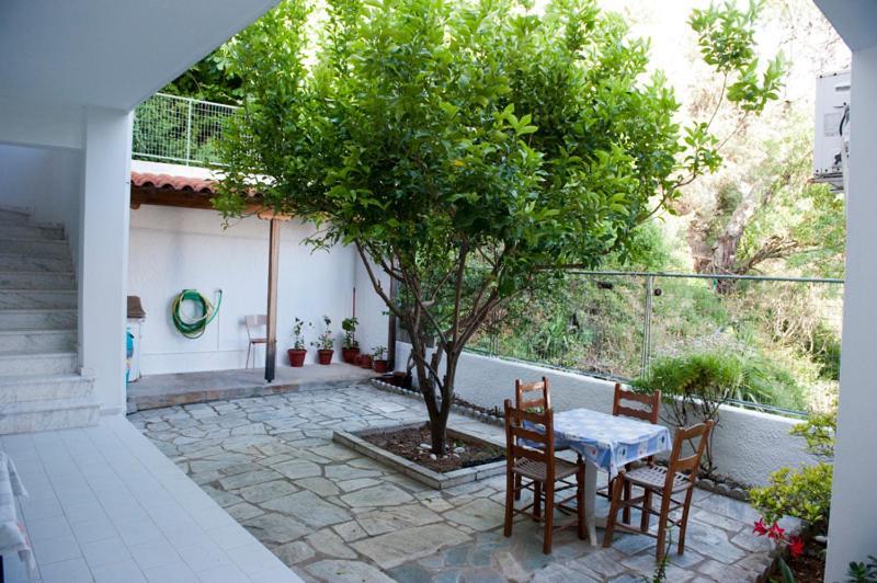 Syraina Apartments Skiathos-Stadt Exterior foto